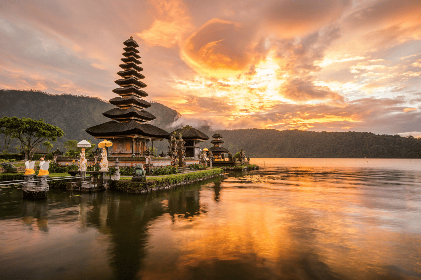 6-Month Internship in Bali: What to Expect