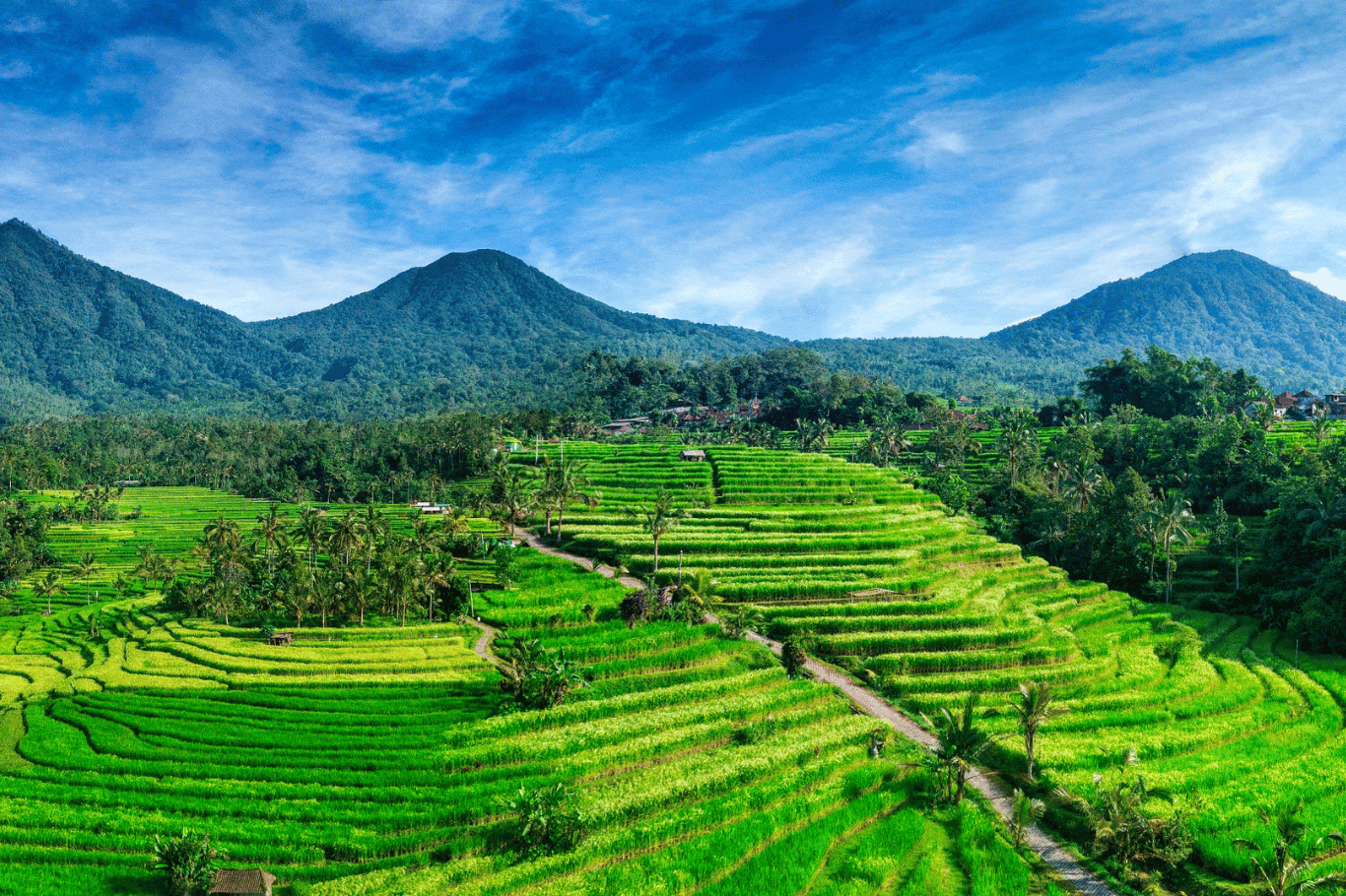 Preparing for Your Internship in Indonesia: A Quick Guide
